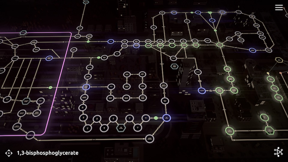 BiochemCity | Educational application of Biochemistry | Put a new ...